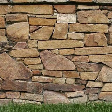 Benefits of Backyard Privacy Screens